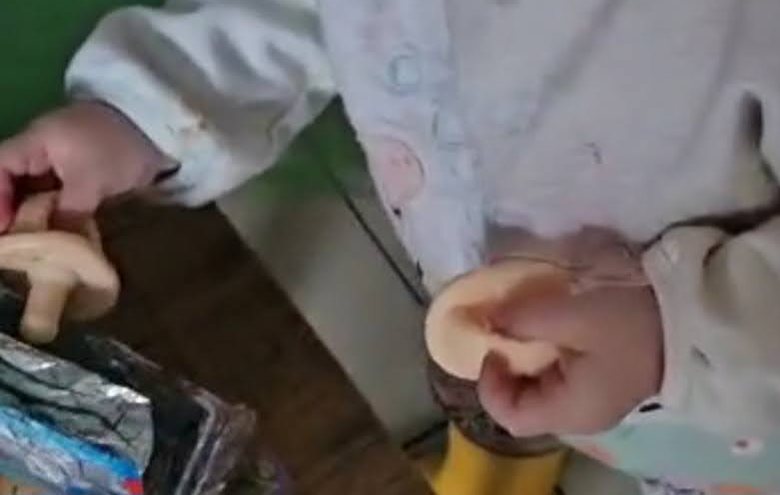 A small child's hands putting dodos into a box wrapped in foil